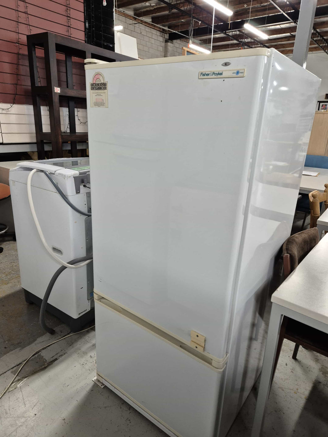 Fisher & Paykel Fridge/Freezer (30 Day Guarantee) 52916